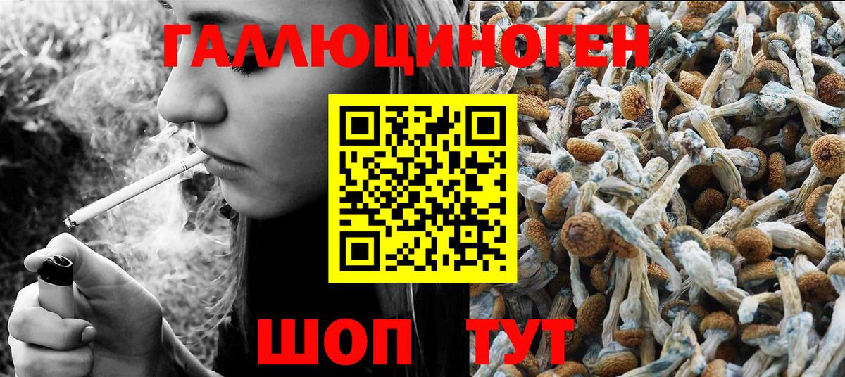 Биробиджан  Галлюциногенные грибы GOLDEN TEACHER  Вход с VPN 
