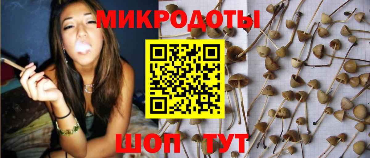 Галлюциногенные грибы прущие грибы Биробиджан
